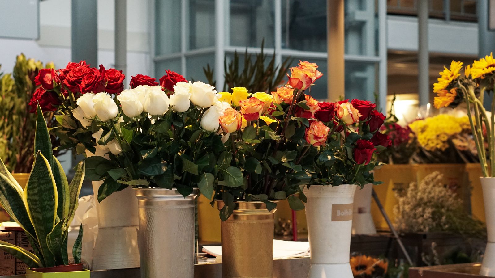 Vibrant mixed roses in vases at the shop